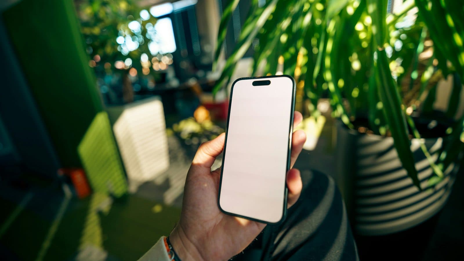 A hand holding a smartphone with a blank screen in a bright office full of leafy green plants.