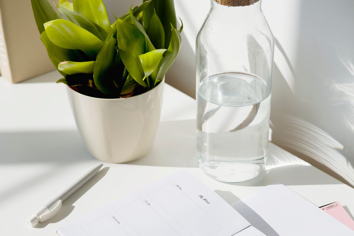 A potted plant, a glass water bottle, a pen and a weekly planner on a sunlit white desk.